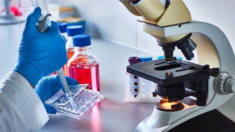 Stem Cell Discoveries May Help To Improve Cancer Treatments content piece image