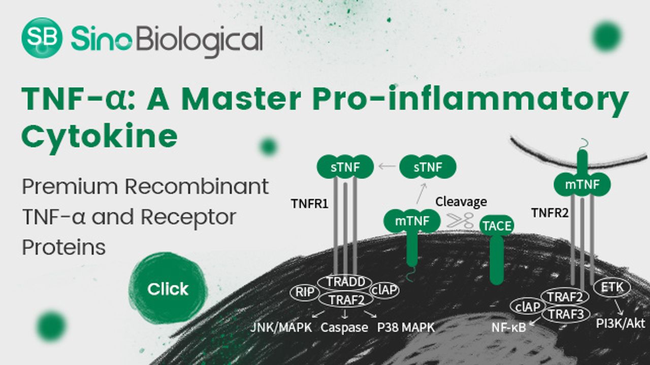 TNF-α: A Master Pro-inflammatory Cytokine