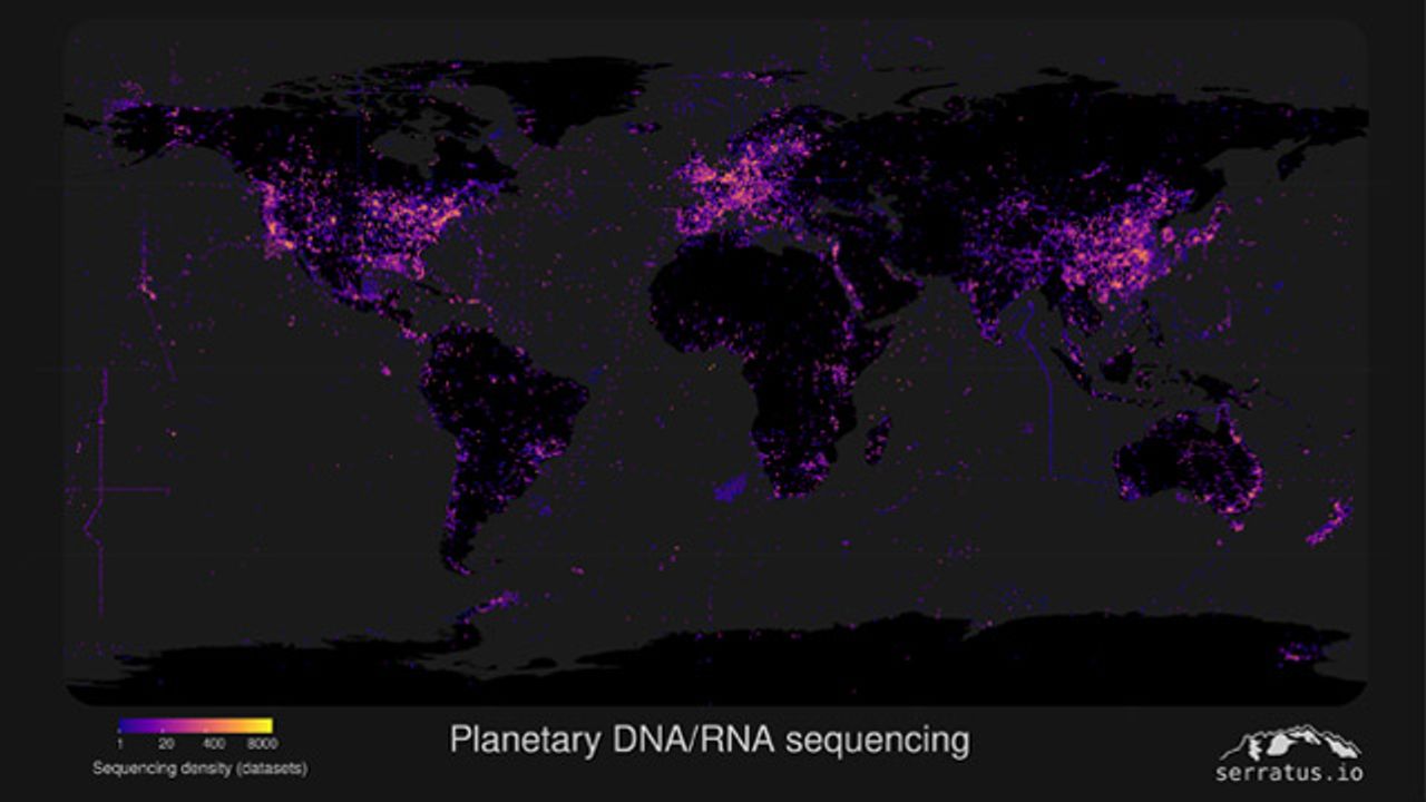 Nine New Coronavirus Species Discovered