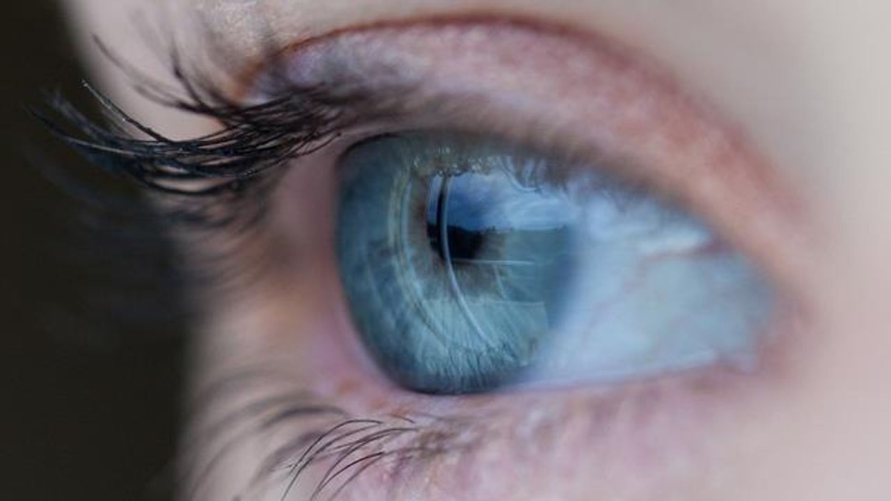 Assessing Drug Metabolism and Distribution in the Eye