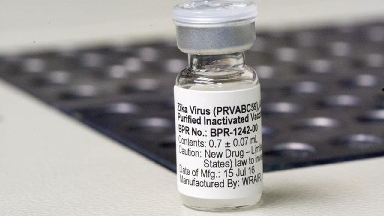 Zika Vaccine Shows Promise in Animal Studies