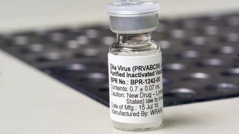 Zika Vaccine Shows Promise in Animal Studies