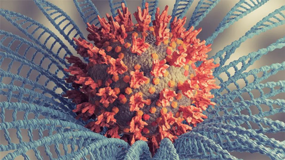 Study Characterizes Omicron Genetics and Early Transmission Patterns content piece image