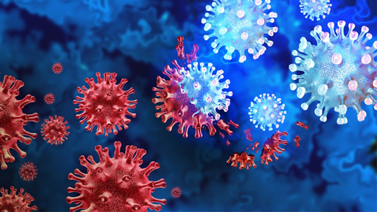 Using Epidemiology in Virology: Experiences From COVID-19
