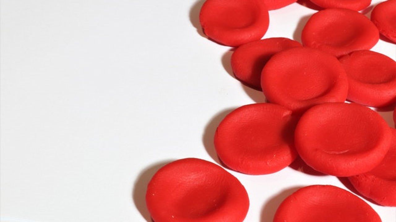 Key Regulator of Blood Stem Cell Development Identified