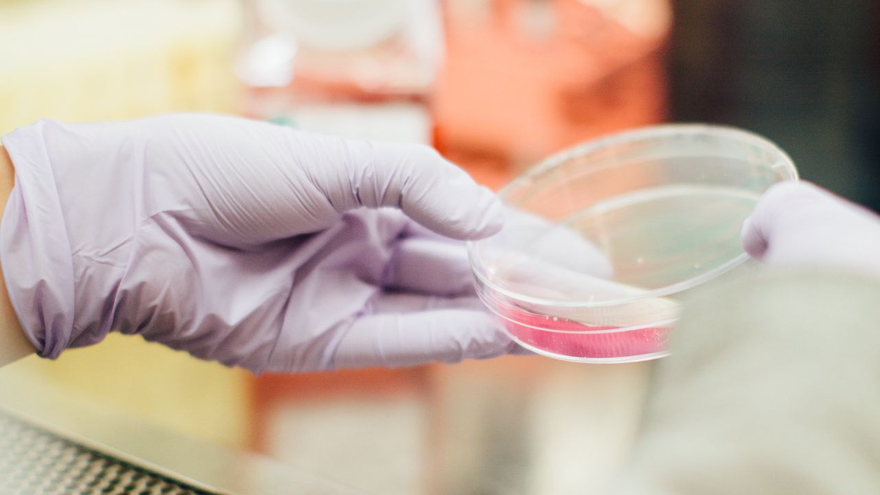 Artificial Muscles Move in Response to Temperature and pH Changes