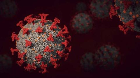 New COVID-19 Mouse Model Developed To Advance Research