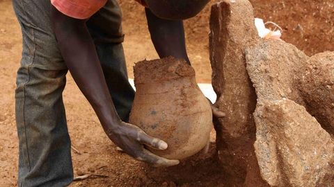 Our Ancestors Were Eating Their Greens 3,500 Years Ago Too