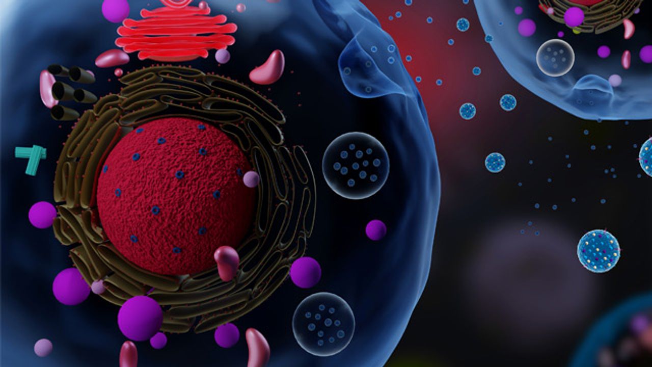 Navigating the Use of Extracellular Vesicles as Therapeutics