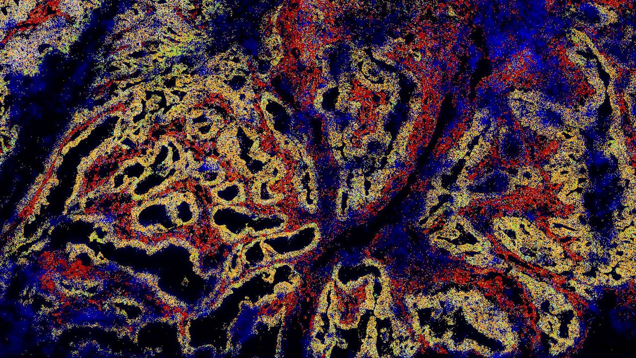 Spatial Biology Technologies in the Lab of the Future
