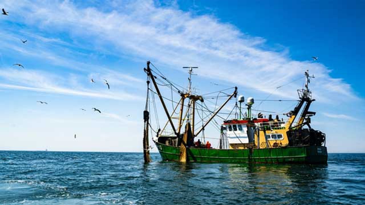 Unnatural Oxygen Loss in Oceans May Be Suffocating the World's Fisheries
