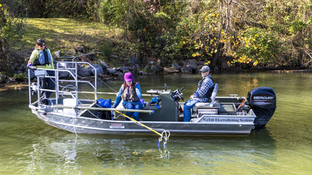 Environmental DNA Samples Used To Explore Impact of Hydropower Facilities