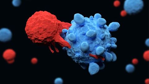 Three-in-One CAR T-Cell Therapy Developed for B-Cell Cancers