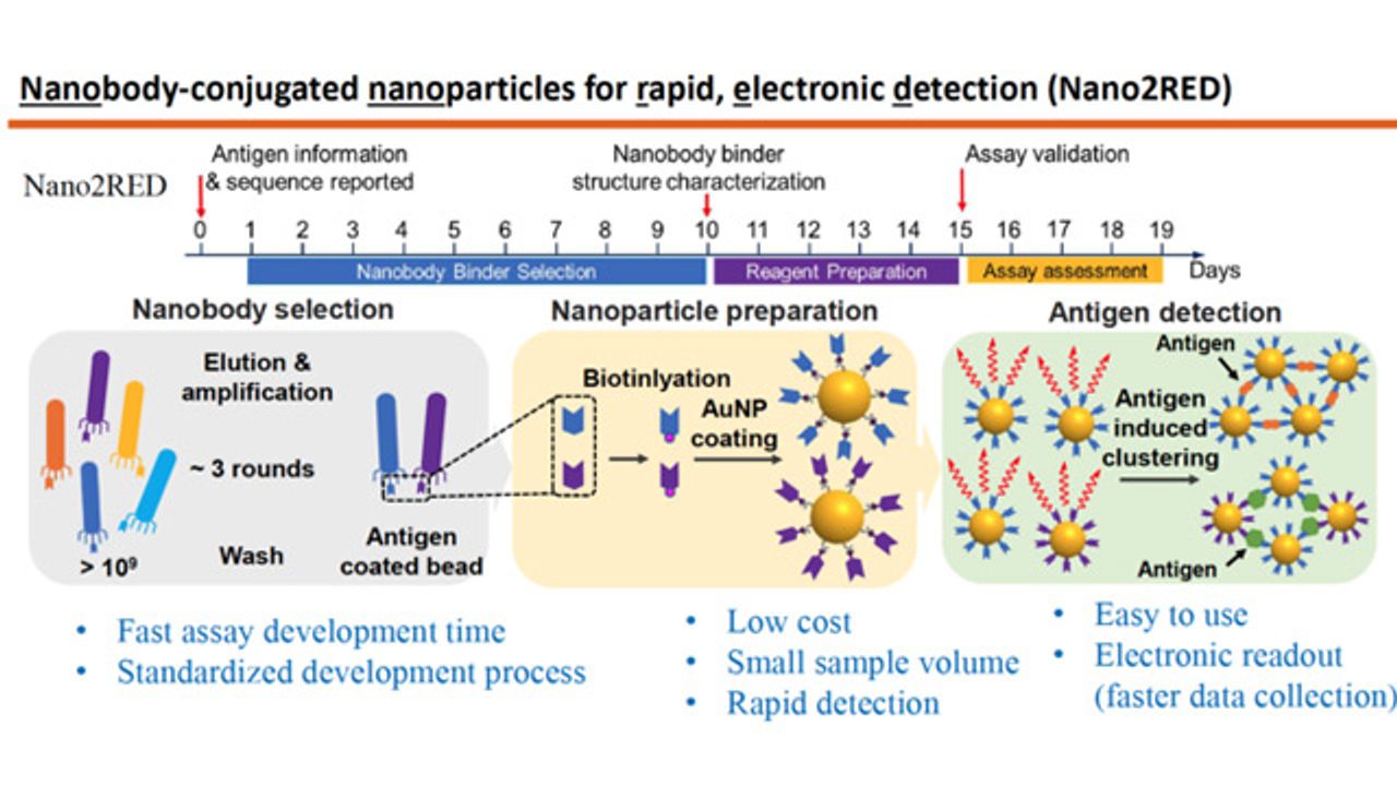 Novel Nano-Sensors Rapidly Detect Infectious Diseases