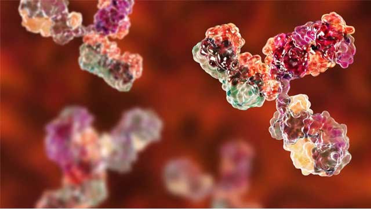 Designing Antibody-Based Therapeutics for Autoimmune Disorders