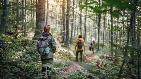 Appreciation of Nature – A Heritable Characteristic?