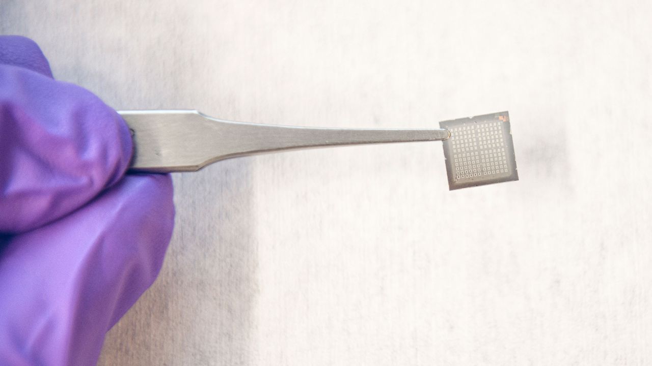 Could Computer Chips Rewire Like the Brain?
