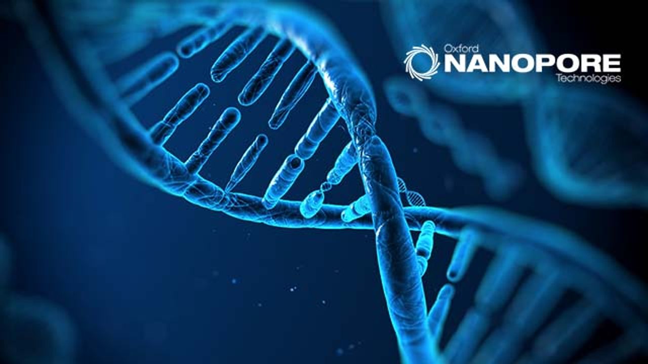 Unlocking Plant 3D Genome Architecture With Pore-C Sequencing