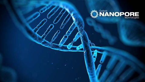 Unlocking Plant 3D Genome Architecture With Pore-C Sequencing Unlocking Plant 3D Genome Architecture With Pore-C Sequencing