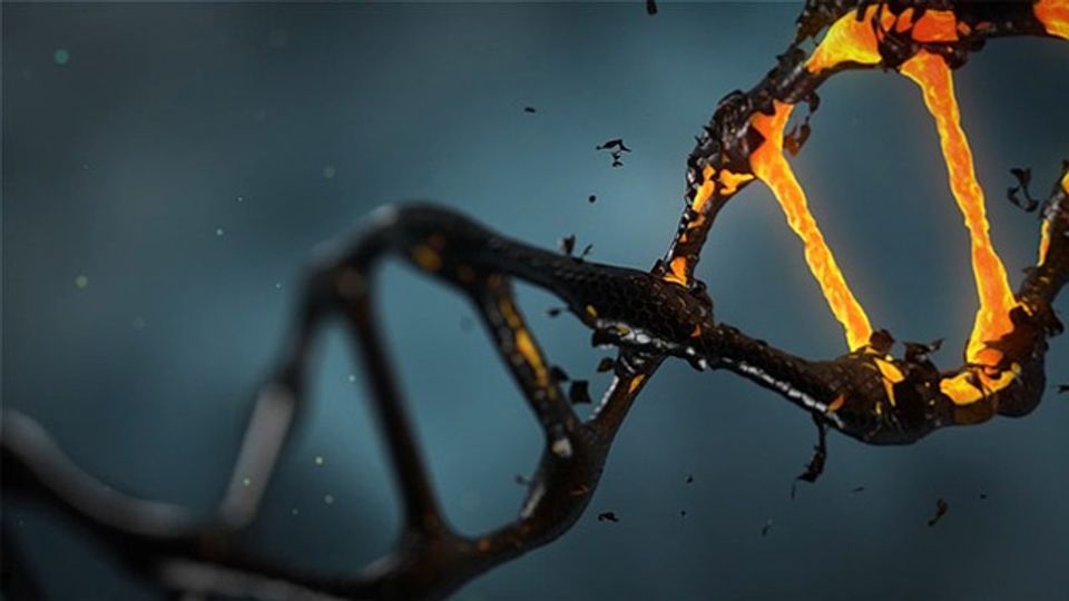 CRISPR-Cas9 Can Generate Unforeseen Heritable Mutations content piece image