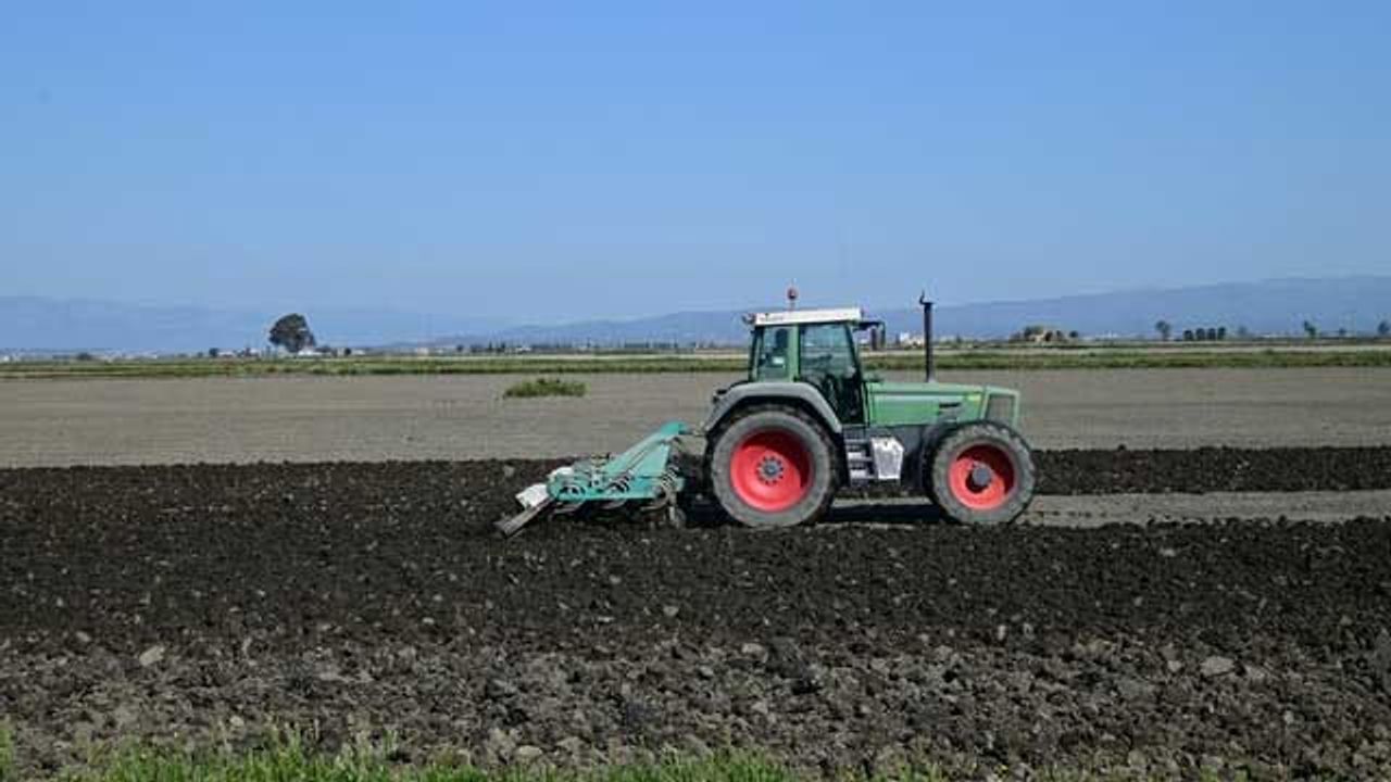 "Longevity Vitamin" in Food Crops Reduced by Soil Disturbance