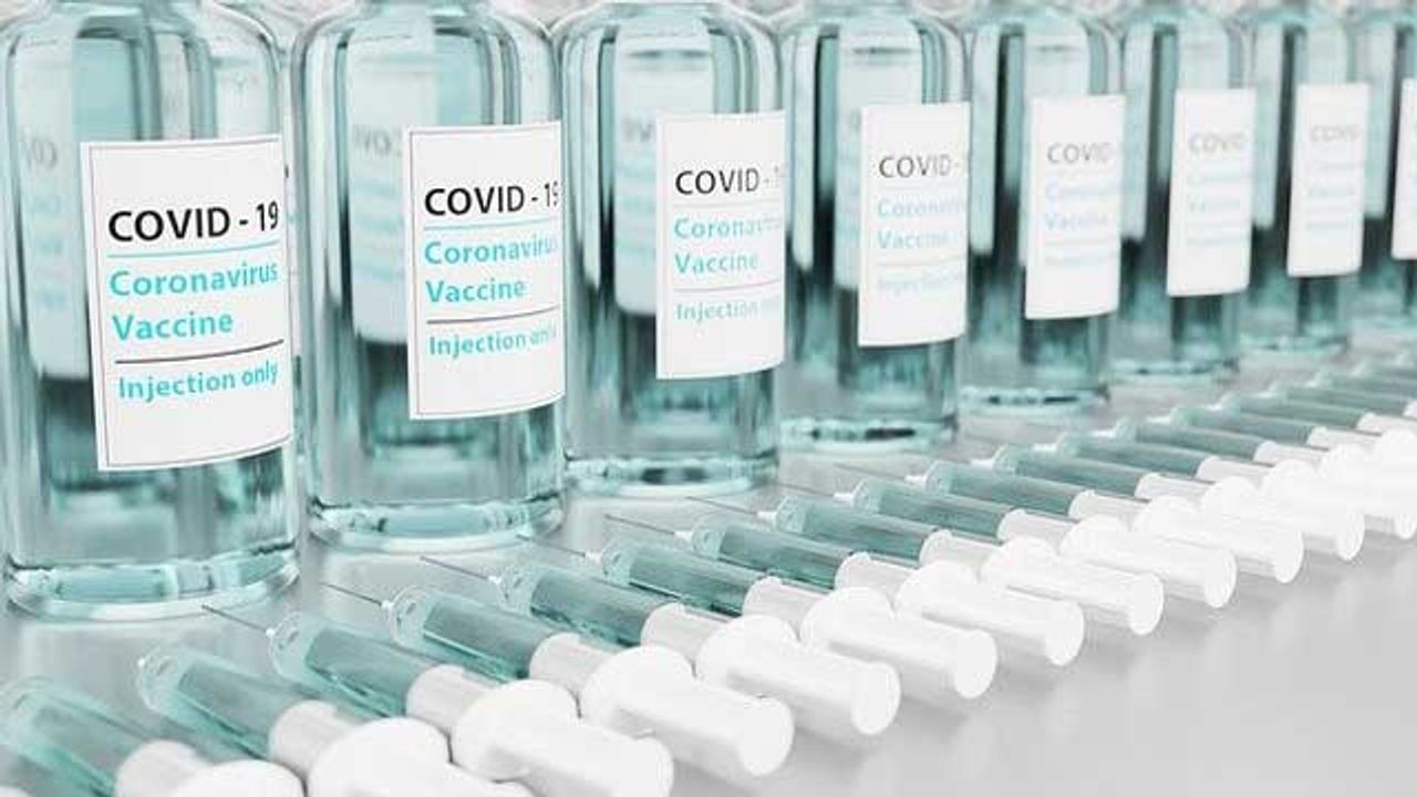 Persistent Antibodies in Infants After COVID-19 Vaccination During Pregnancy