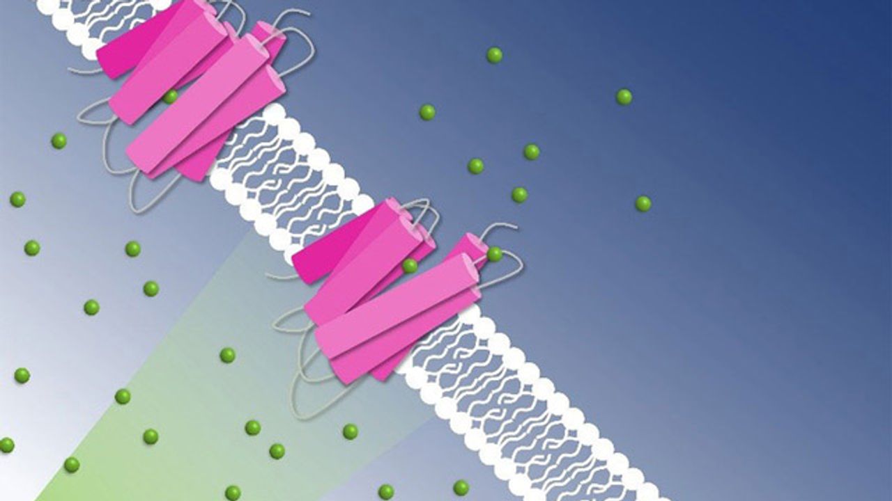 Mechanisms of Light-Driven Chloride Pump Revealed