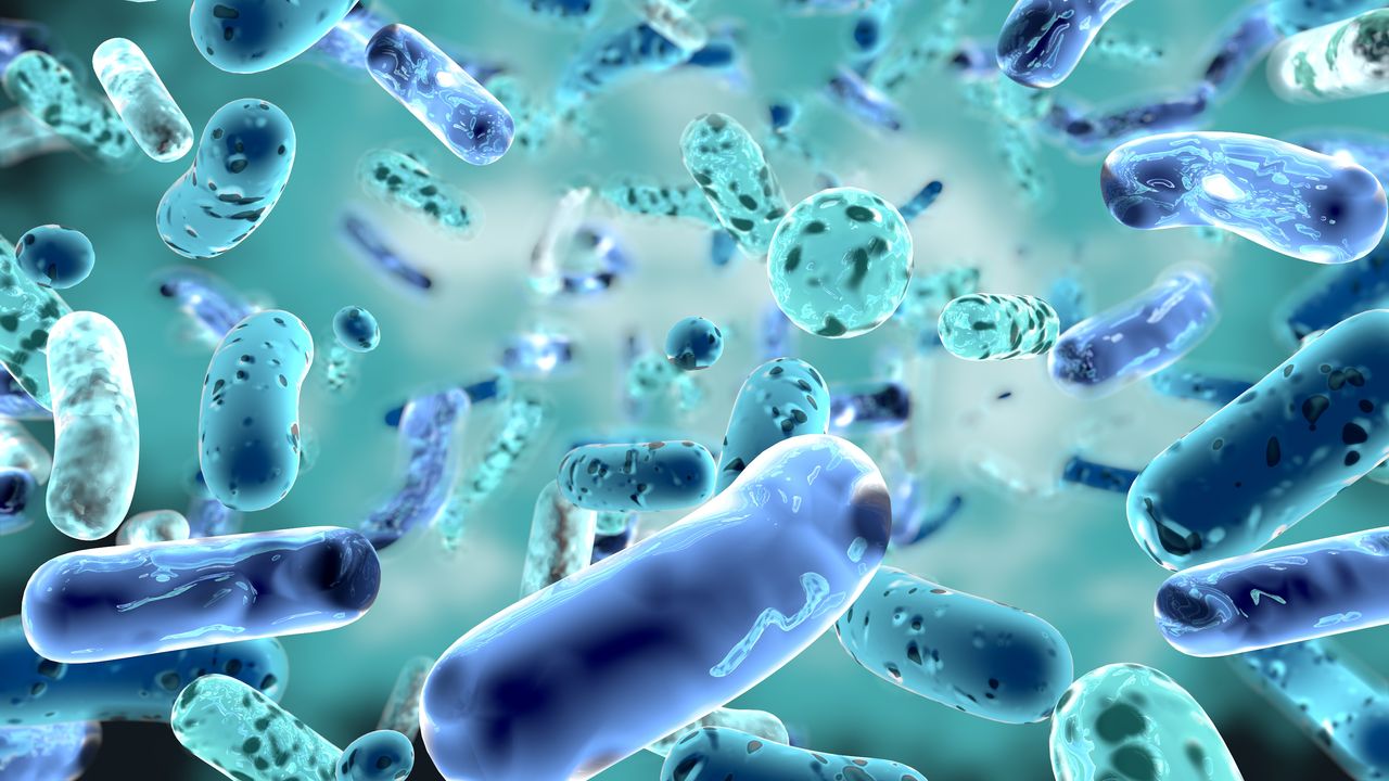 <i>B. infantis</i>: Our Partner in Newborn Growth and Development