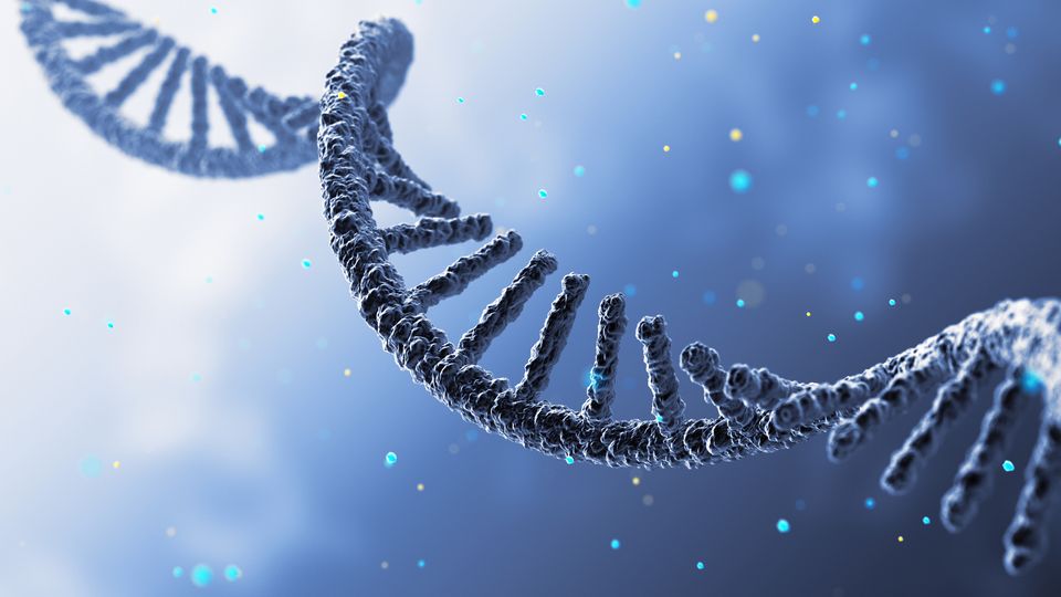 A strand of RNA