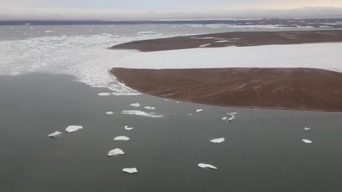 Winter Warming in the Arctic Is Causing Cold Damage in the Subtropics
