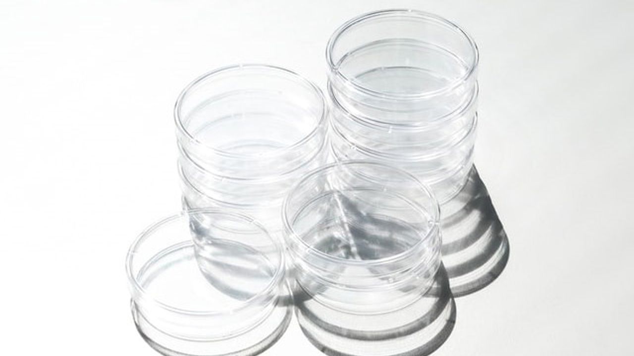 Cell Cultures Are Not As Stable as You'd Think