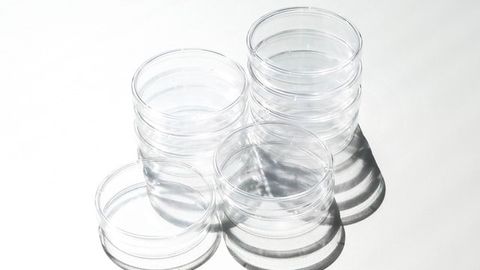 Cell Cultures Are Not As Stable as You'd Think