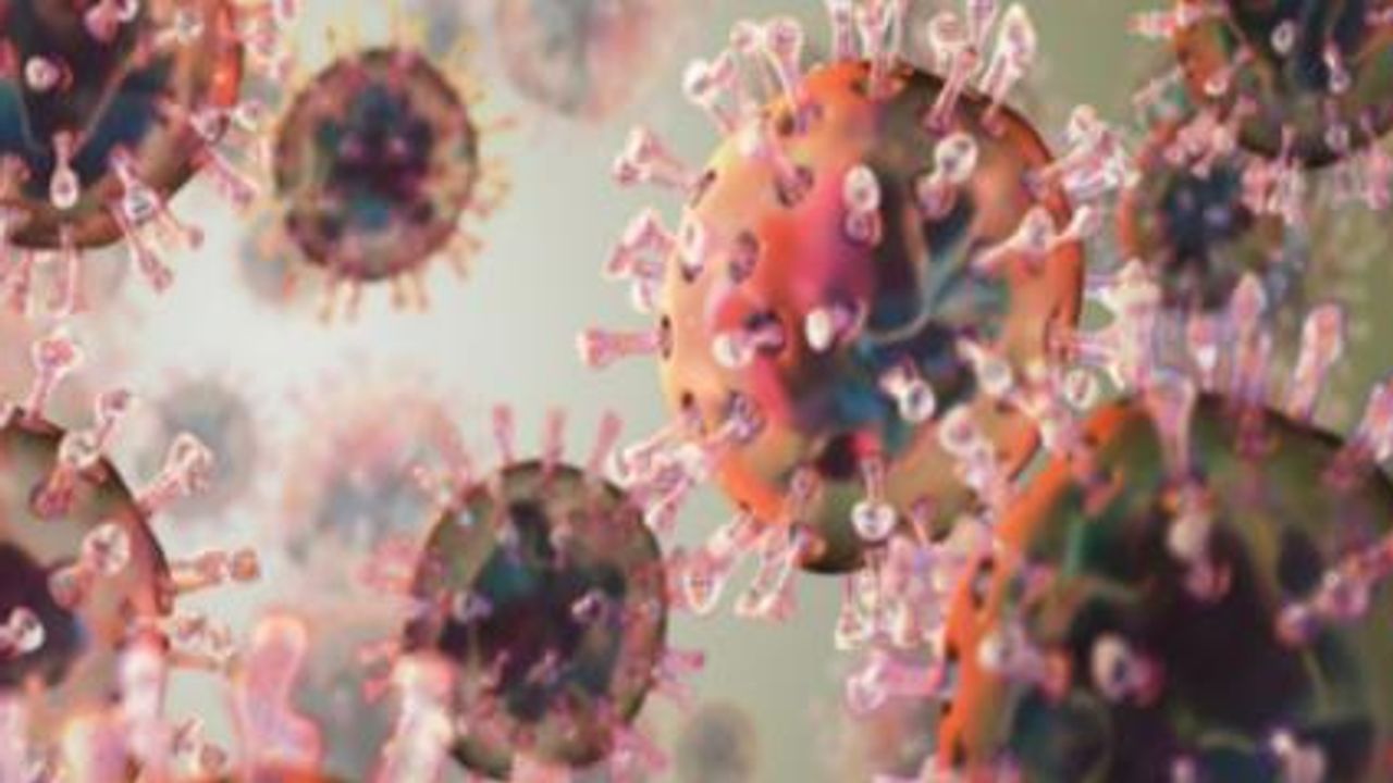 Recent Developments in Covid Virology