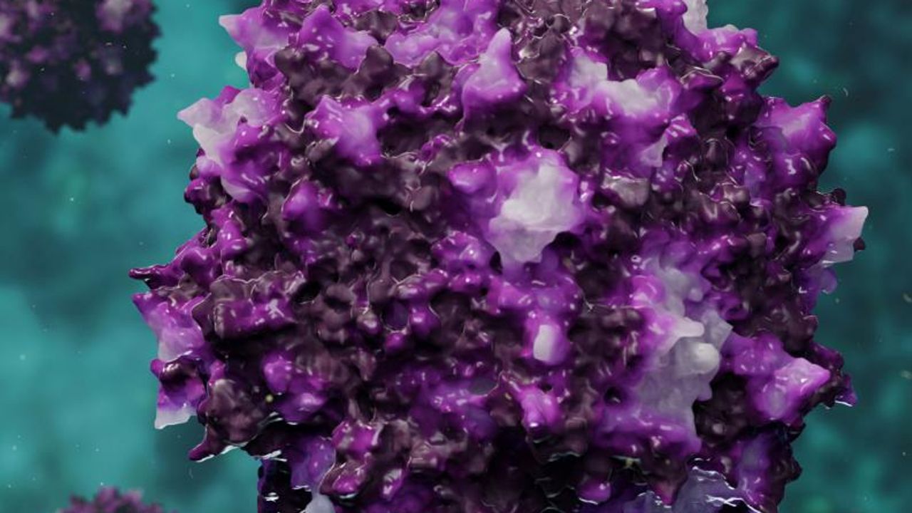Next-Generation Analytical Solutions for Cell and Gene Therapy