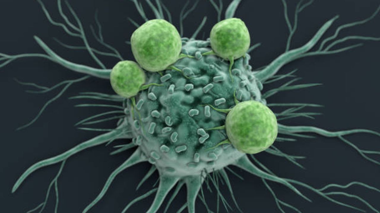 Research Tools for Anti-Cancer Drug Targets