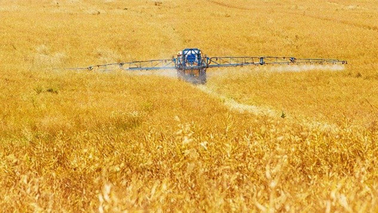 Agricultural Fungicides May Be Promoting Antimicrobial Resistance