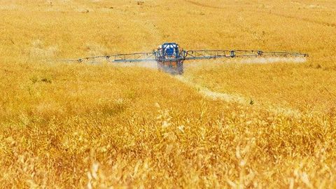 Agricultural Fungicides May Be Promoting Antimicrobial Resistance