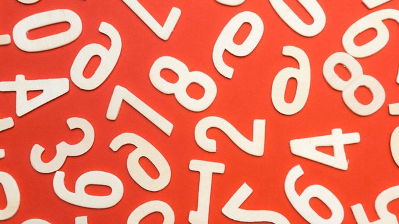 Do We Need Words To Think About Numbers?
