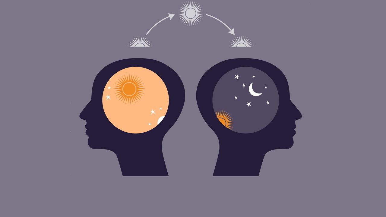 Circadian Control of Immune Cell Linked to Clearance of Alzheimer’s Protein