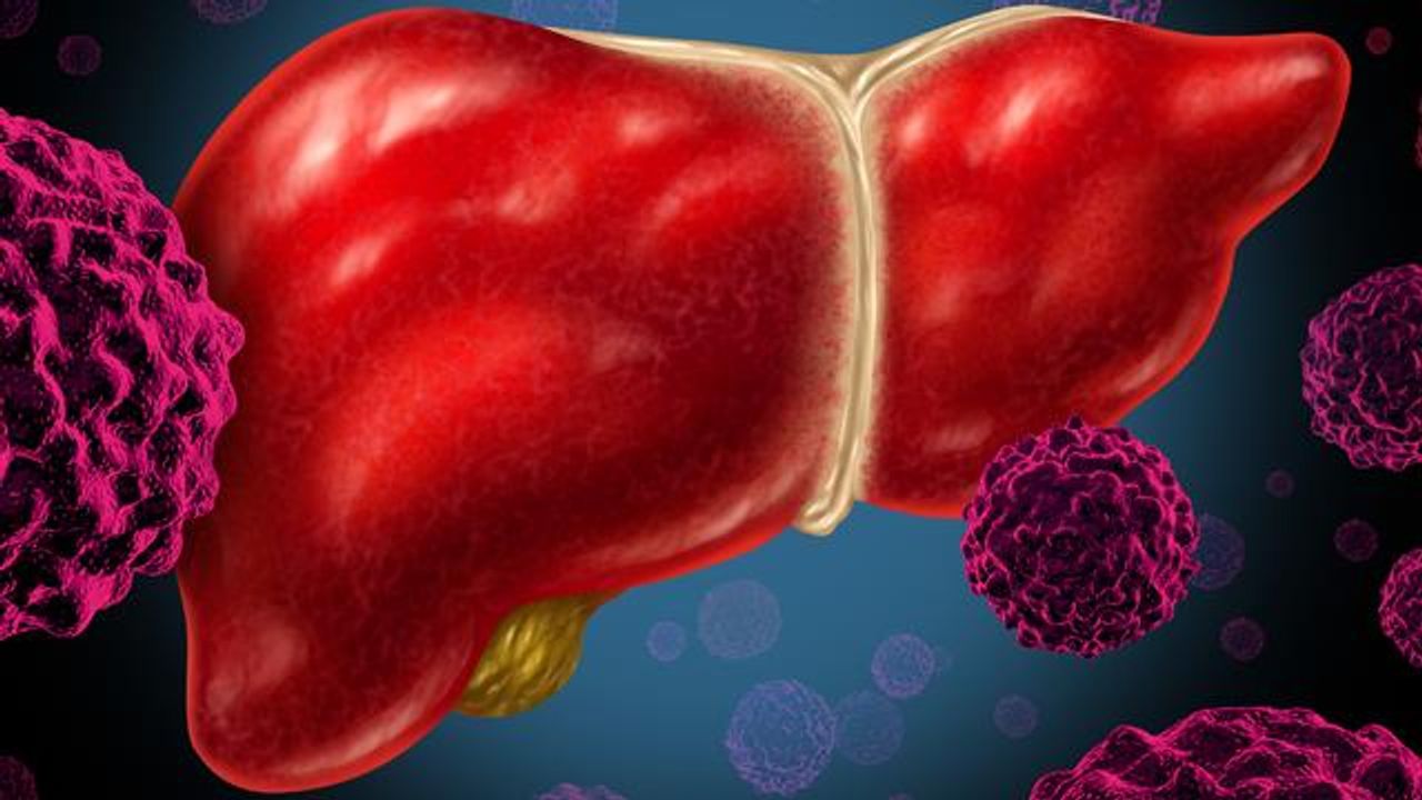 Restoring Function in Gene Suppresses Liver Cancer and Boosts Immunotherapy