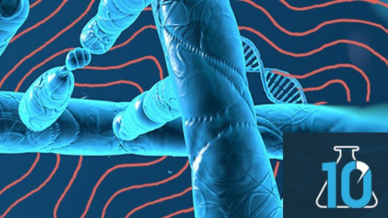 Everything You Need To Know About PCR With Dr. Eric Yager