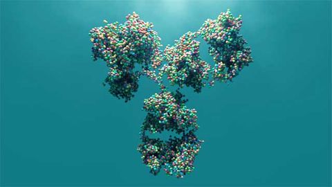 Discovery Could Enable Broad Coronavirus Vaccine