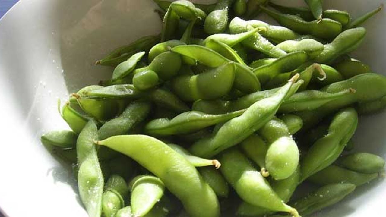 After a 30-Year Search, a Gene Important for Soybean Protein Content Is Found