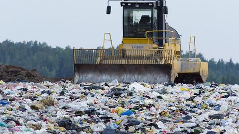 Could Protein-Based Bioplastics Bring Relief for Oceans and Landfill?