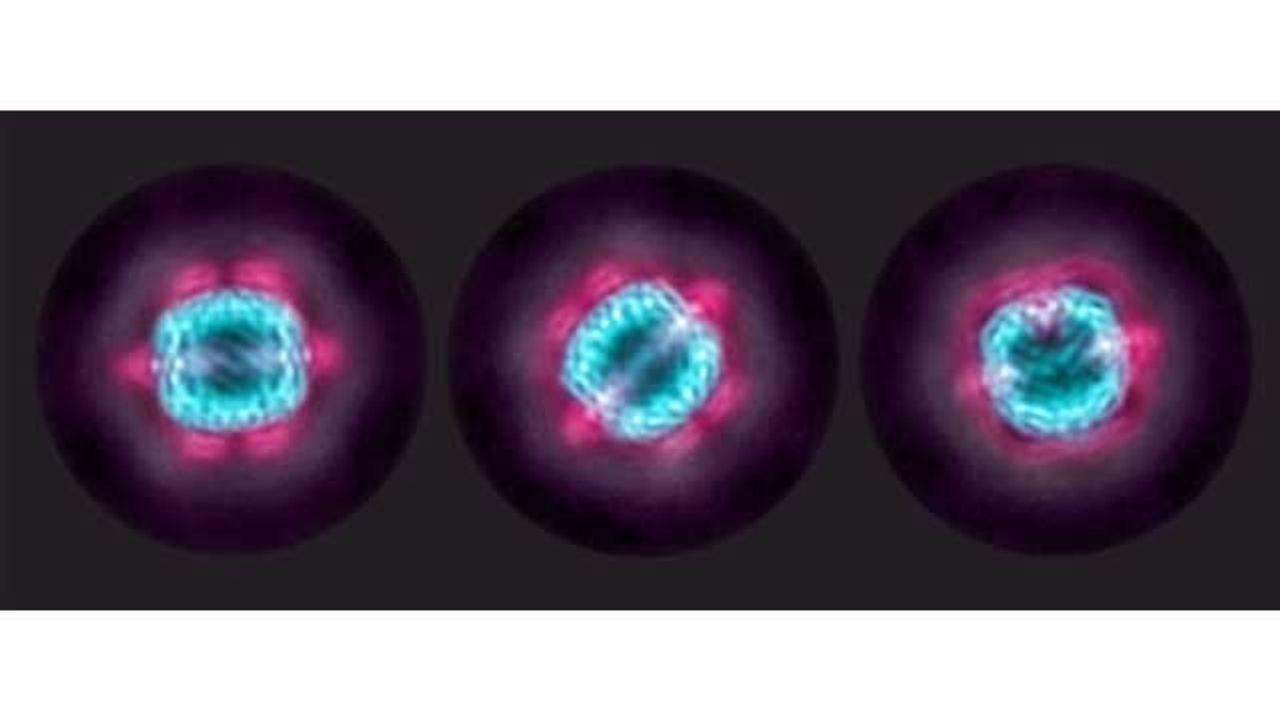 Molecular Cage Stabilizes Cancer Proteins Allowing Researchers a Better Look
