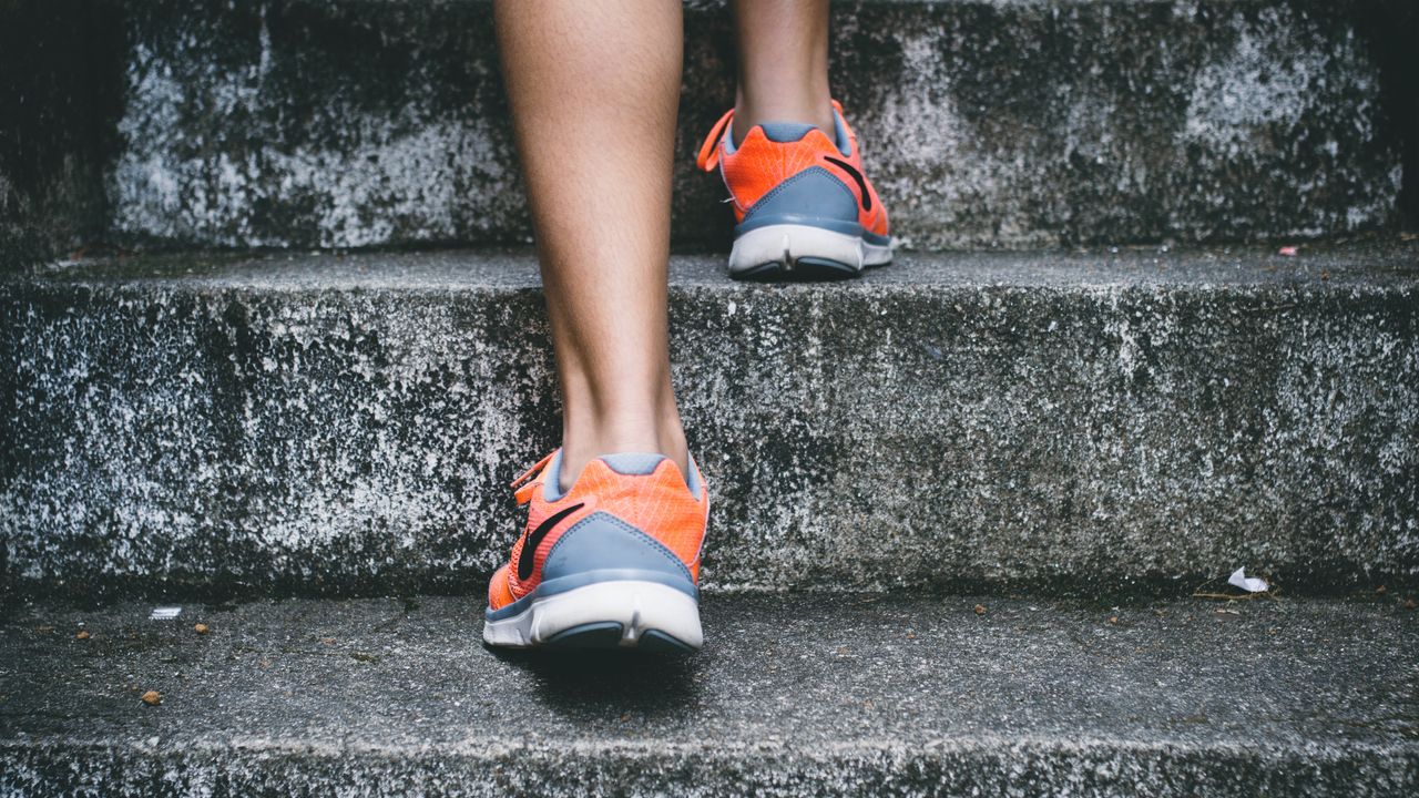 Mild to Moderate Intensity Exercise Post-Vaccination Boosts Immune System