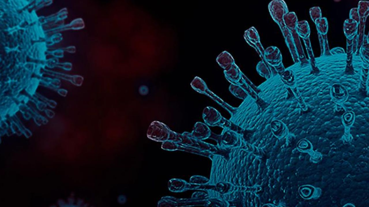 SARS-CoV-2 Spike Protein Mutagenesis