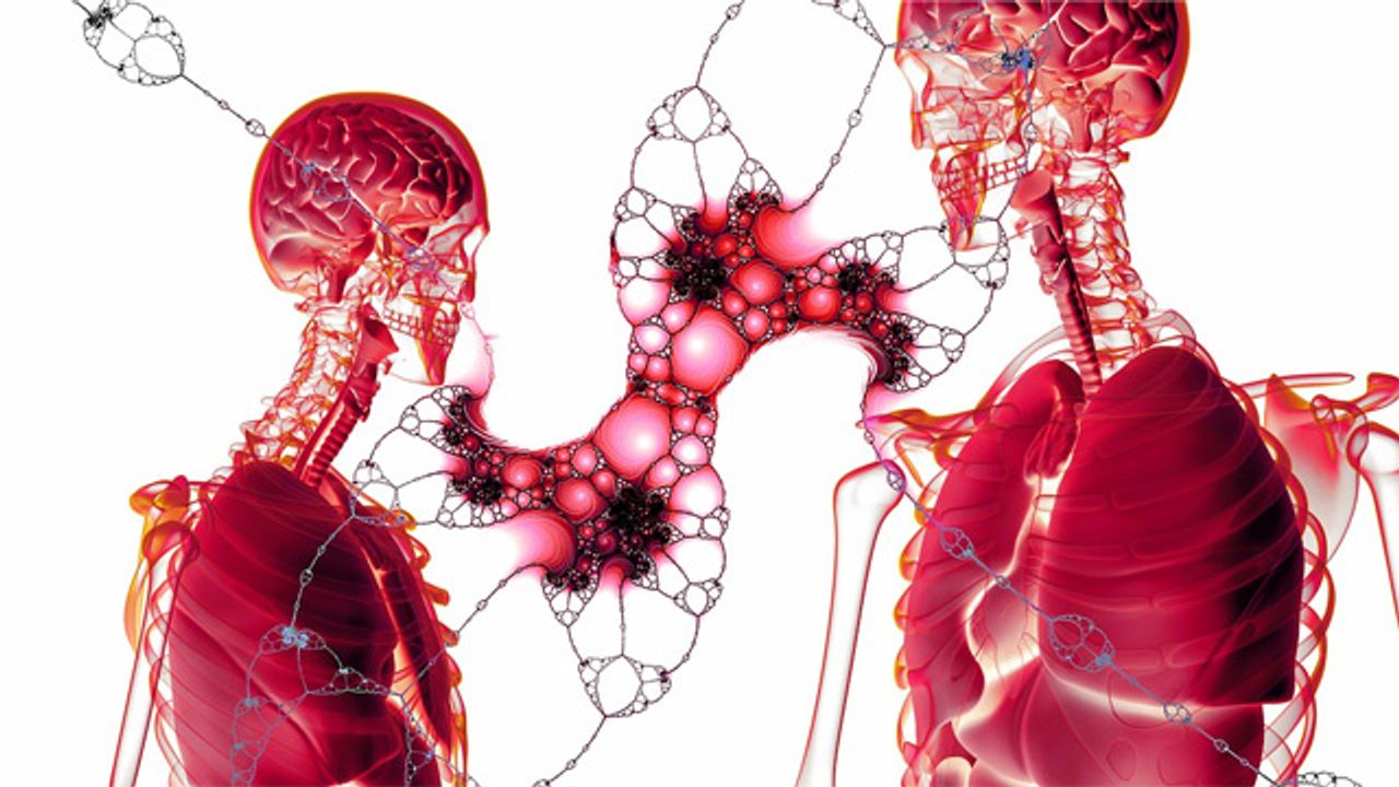Cell Groups Push Themselves Into Place As Organs Form