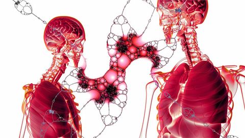 Cell Groups Push Themselves Into Place As Organs Form