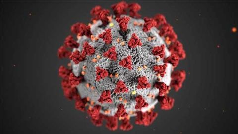 Antiviral Drug Combo Is Highly Effective Against SARS-CoV-2